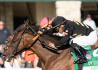 racingfotos_95165580732_crop