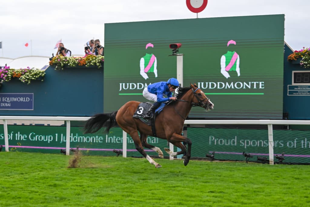 2025 Juddmonte International - Ombudsman
